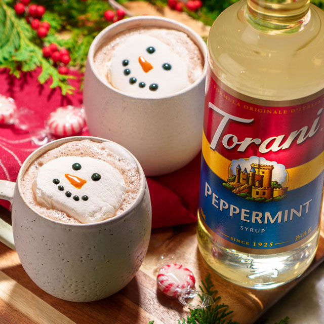 https://www.worldmarket.com/dw/image/v2/BJWT_PRD/on/demandware.static/-/Sites-World_Market-Library/default/dw121b2625/InspirationFolder/Recipes/Drinks/Boozy_Peppermint_Hot_Chocolate/boozy-peppermint-hot-chocolate-schema-1.1-640x640.jpg