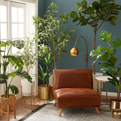 How to Decorate with Indoor Plants