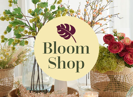 Marimo in vaso weck - Blooms Shop