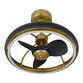 Hanson Antique Brass and Black Metal Ceiling Light with Fan image number 2