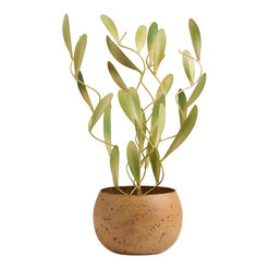 Metal Potted Olive Tree Plant