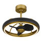 Hanson Antique Brass and Black Metal Ceiling Light with Fan image number 0
