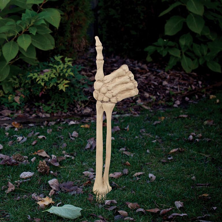 Antique Ivory Dog Skeleton Halloween Decor - World Market