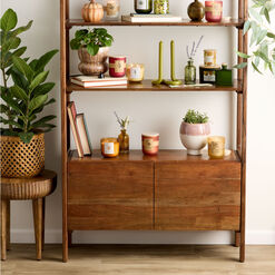 Dane Acacia Wood Bookshelf with Cabinet