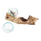 Natural Driftwood and Blown Glass Double Bowl Decor image number 1