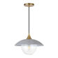 Glass and Metal Dome Alice Pendant Lamp image number 0