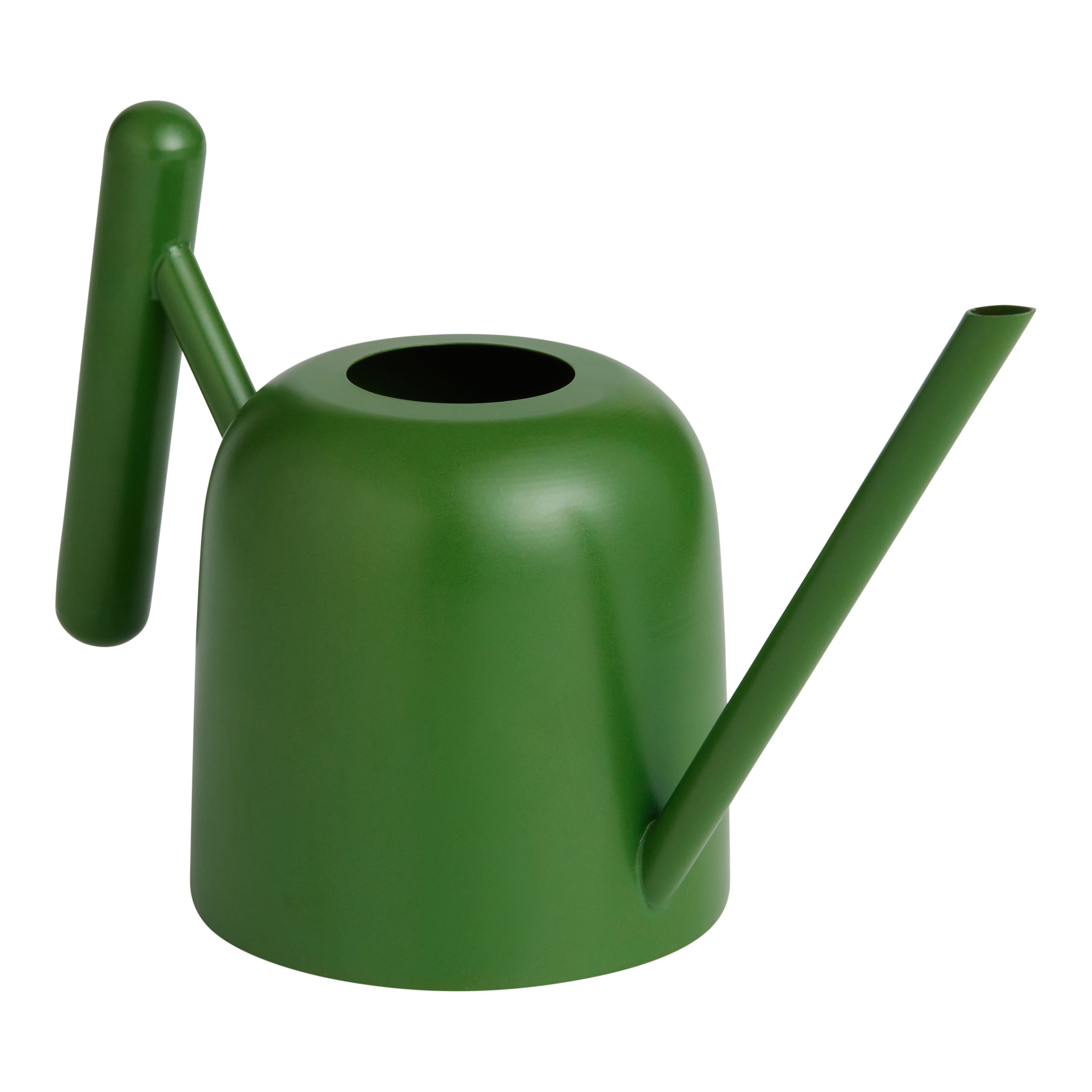 Green Metal Watering Can World Market   120058 XXX V1 