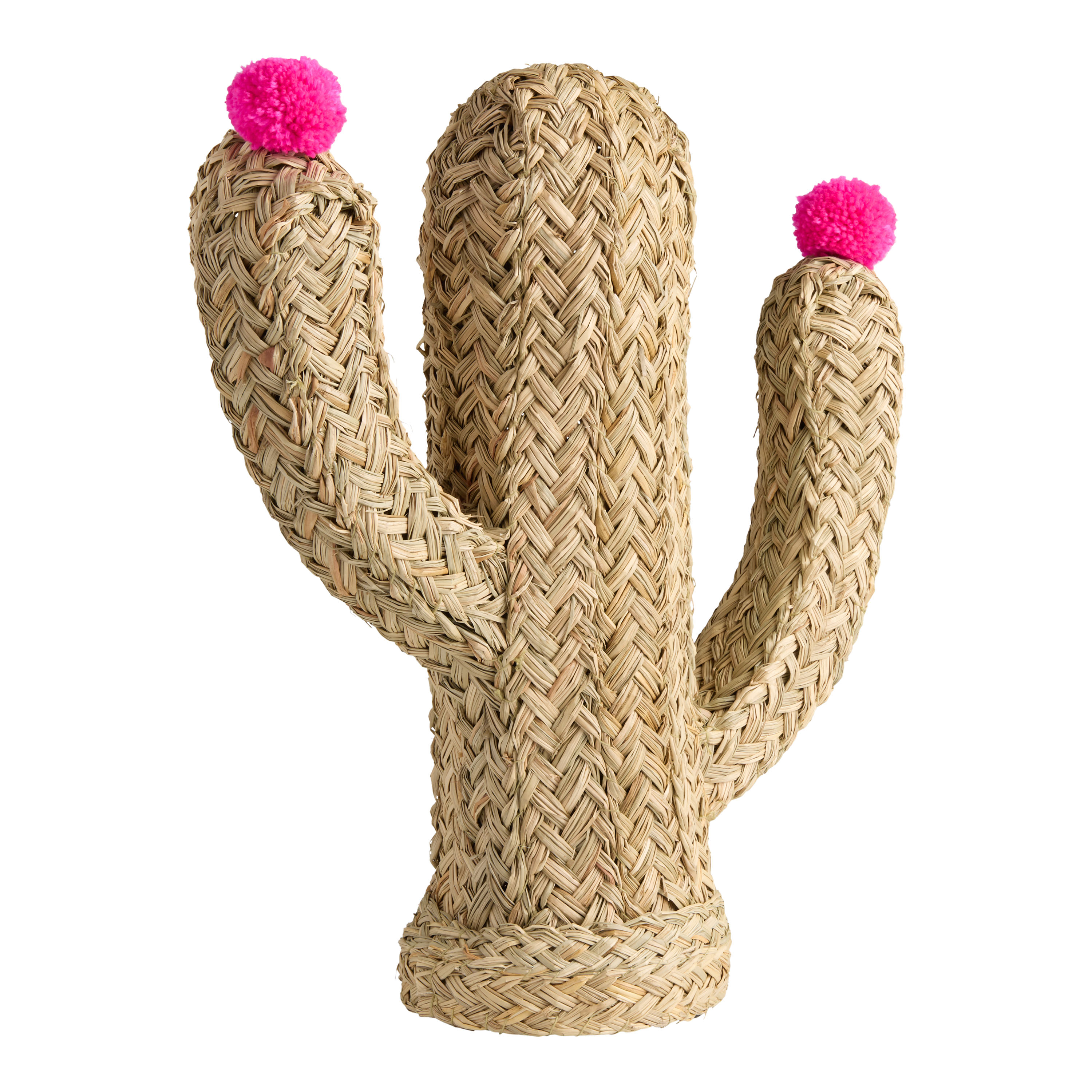 Natural Seagrass Flowering Cactus Decor - World Market