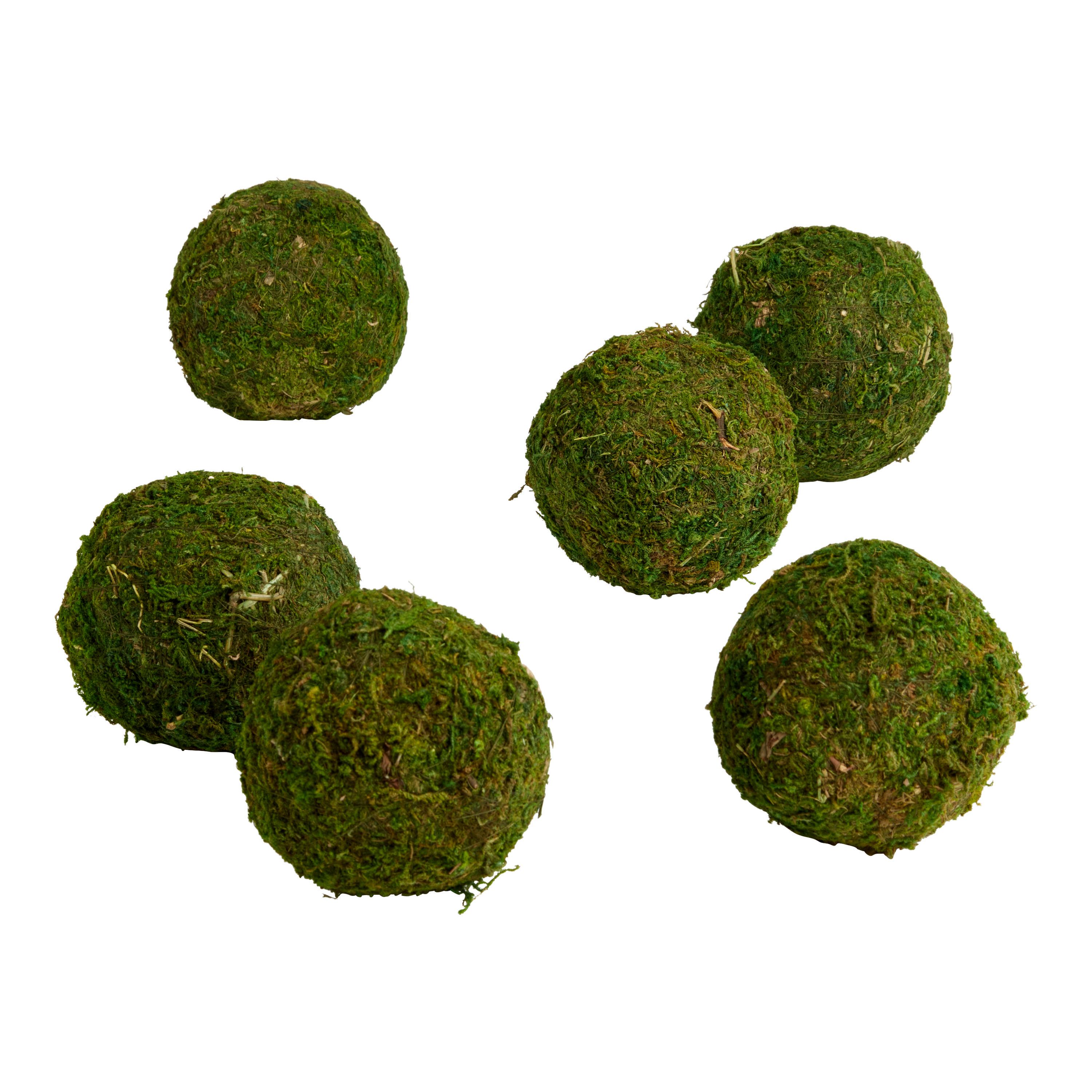 Green Moss Ball Decor 6 Piece - World Market
