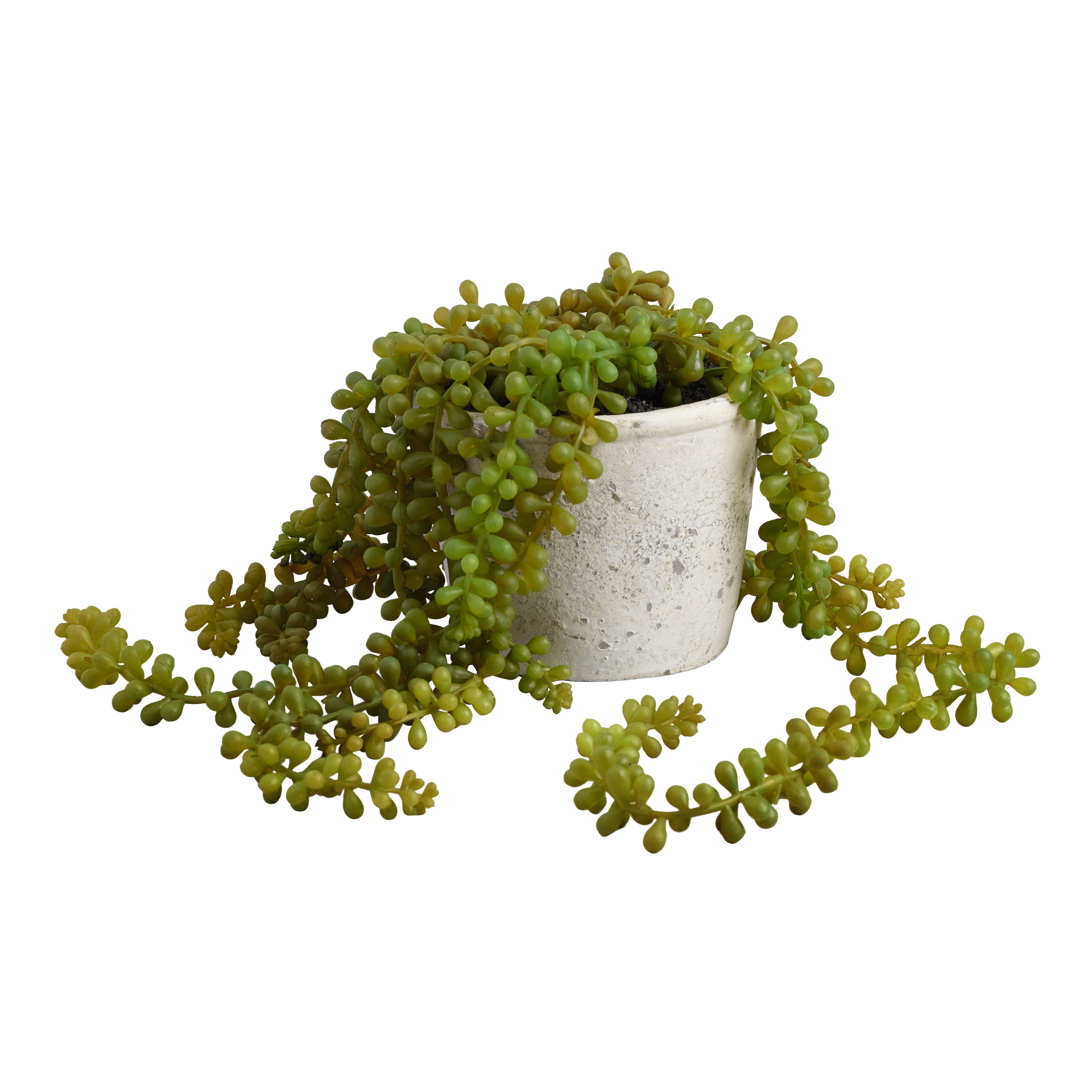 Artificial Plant STRING OF PEARLS in Ceramic Pot W/ Wood Stand - ONE-SIZE